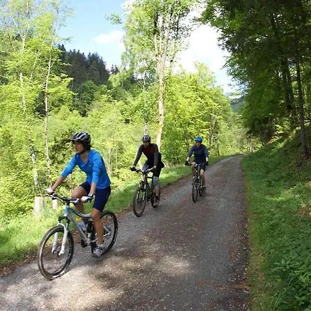 Appartement Am Paradiese 74 Bad Lauterberg